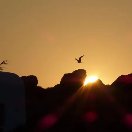 Terra Rock * Super Paradise Beach (Mykonos)